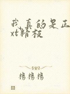 我真的是正派txt精校