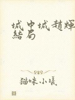 城中城赵辉最后结局