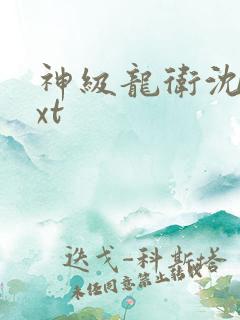 神级龙卫沈浪txt