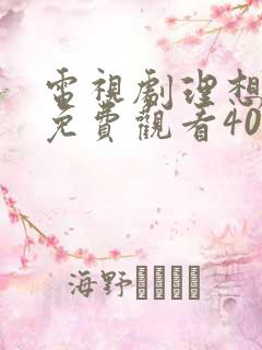 电视剧理想之城免费观看40集