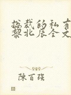总裁的私有宝贝黎北辰全文免费阅读全文
