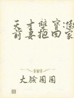 天才双宝:傲娇前妻抱回家小说免费看