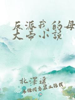反派我的母亲是大帝小说
