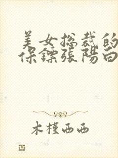 美女总裁的贴身保镖张阳白苑情