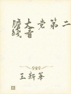 胆大党第二季在线看