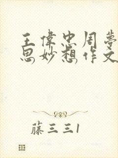 王伟忠周梦莹奇思妙想作文