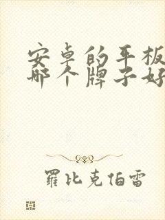 安卓的平板电脑哪个牌子好
