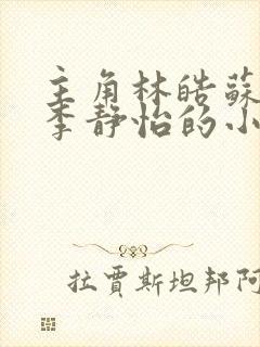 主角林皓苏沐云李静怡的小说
