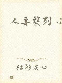 人妻系列 小说