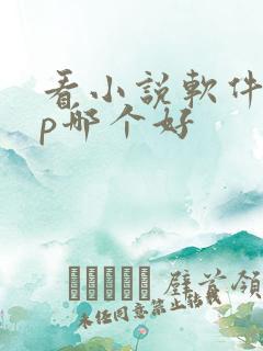 看小说软件app哪个好