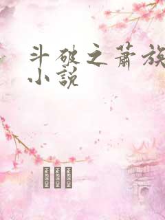 斗破之萧族冰圣小说