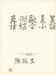 亚洲欧美另类激情综合小说