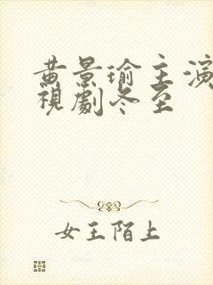 黄景瑜主演的电视剧冬至