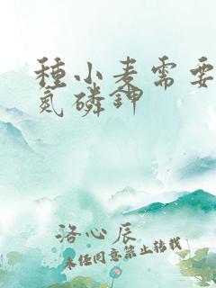 种小麦需要多少氮磷钾