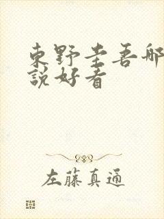 东野圭吾哪个小说好看