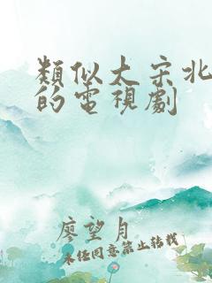 类似大宋北斗司的电视剧