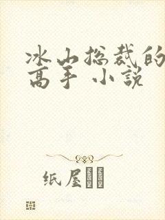 冰山总裁的贴身高手 小说