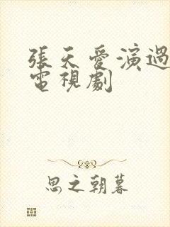 张天爱演过哪些电视剧