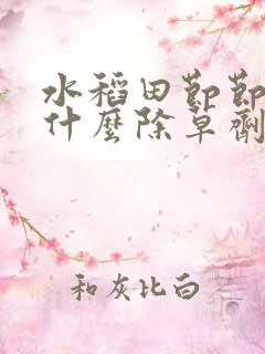 水稻田节节草用什么除草剂