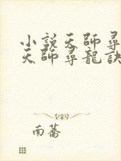 小说天师寻龙诀天师寻龙诀
