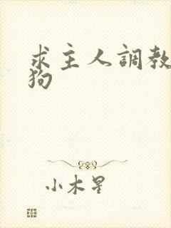 求主人调教骚母狗