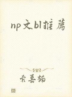 np文bl推荐