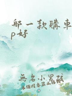 哪一款购车app好