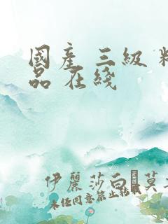 国产 三级 精品 在线