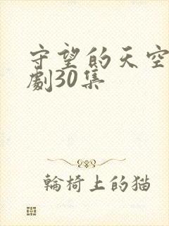 守望的天空电视剧30集