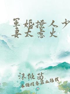 军婚撩人少将娇妻太惹火