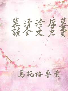 慕清泠席慕深小说全文免费阅读