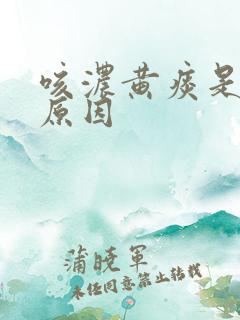咳浓黄痰是什么原因