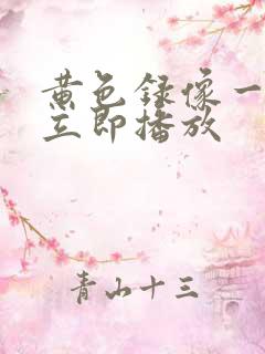 黄色录像一级片立即播放