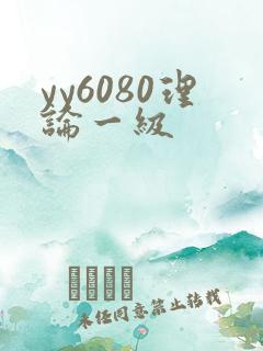 yy6080理论一级