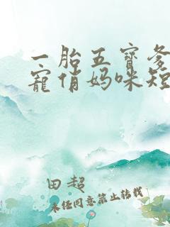 一胎五宝爹地甜宠俏妈咪短剧