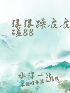 狠狠躁夜夜躁爽碰88