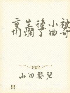 重生后小被男神们烂了曲奇哈密瓜小说