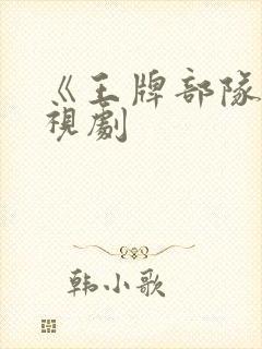 《王牌部队》电视剧