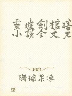 灵墟剑棺瞎剑客小说全文免费阅读