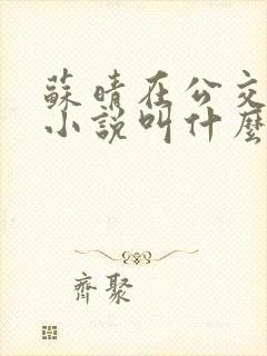 苏晴在公交上的小说叫什么