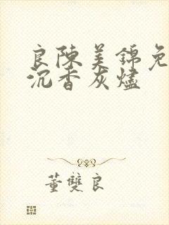 良陈美锦免费版沉香灰烬