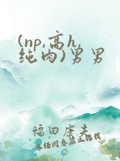 (np,高h,纯肉)男男