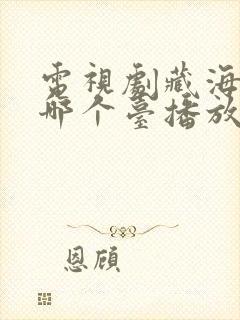 电视剧藏海传在哪个台播放