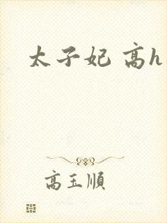 太子妃 高h