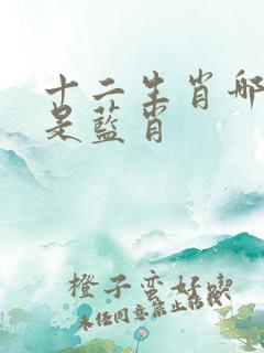 十二生肖哪几个是蓝肖
