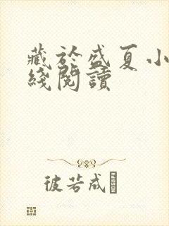 藏于盛夏小说在线阅读