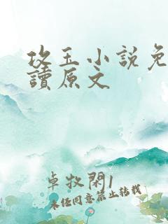 攻玉小说免费阅读原文