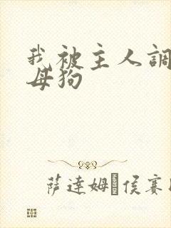 我被主人调教成母狗