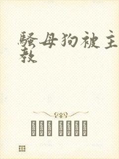 骚母狗被主人调教