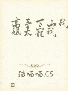 高手下山我家师姐太宠我